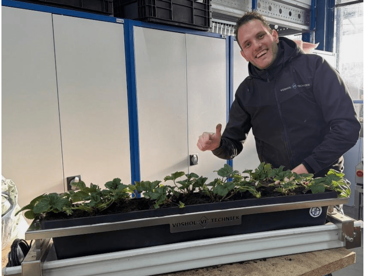 Weighing system for strawberry cultivation in the Voshol Techniek workshop