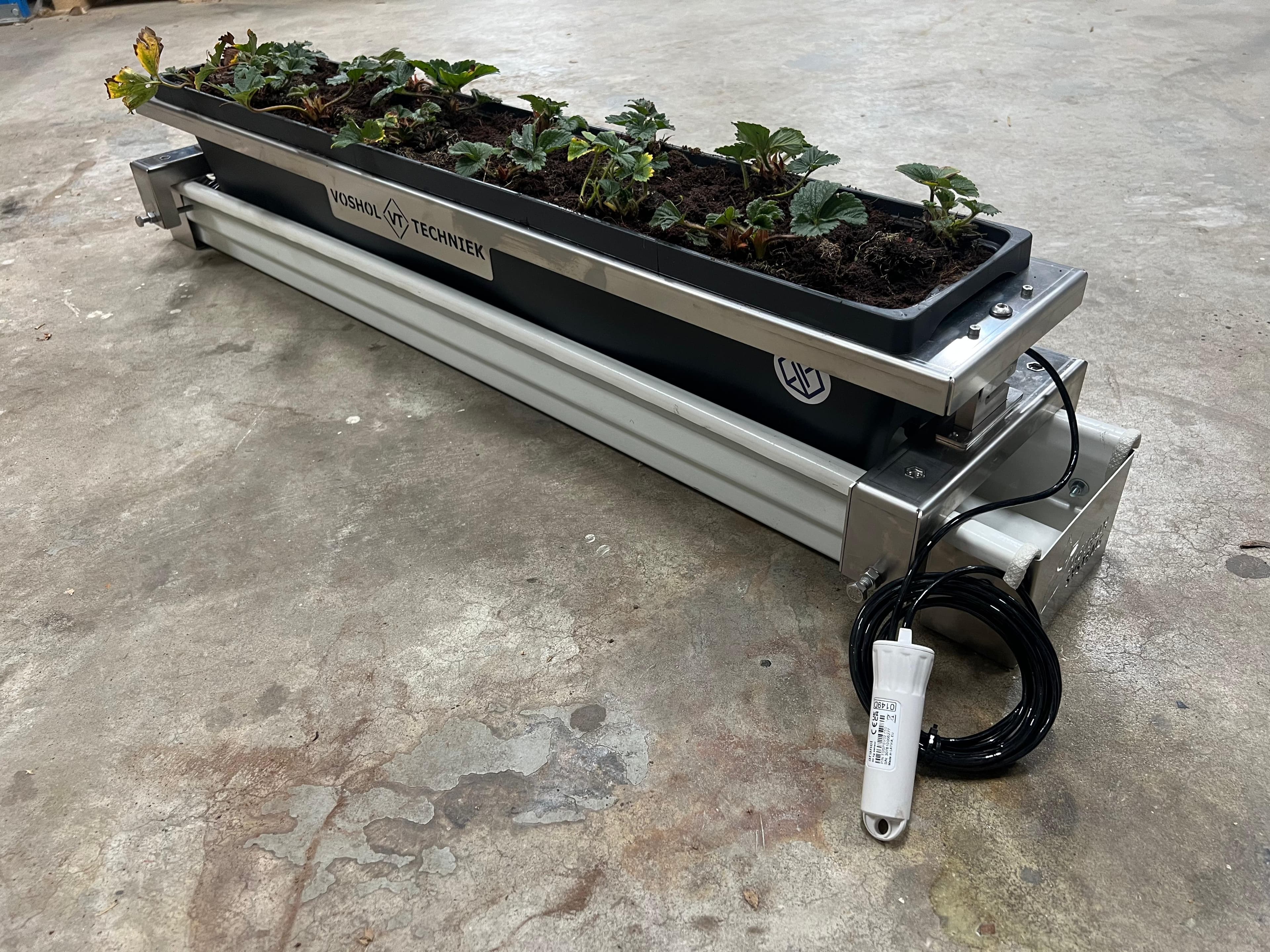 Strawberry scale for 1 metre troughs